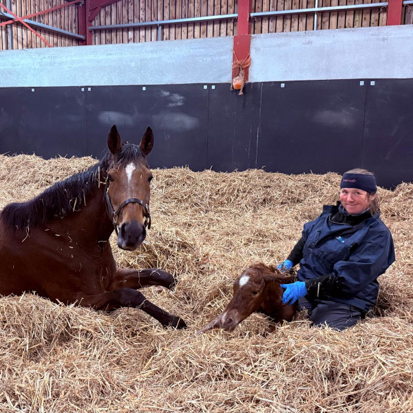 Our Foals
