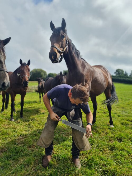 Harry+Farrier+1