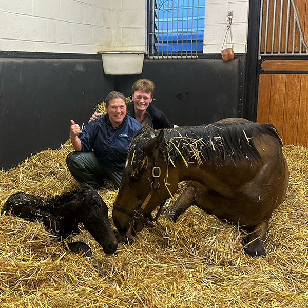 Our Foals
