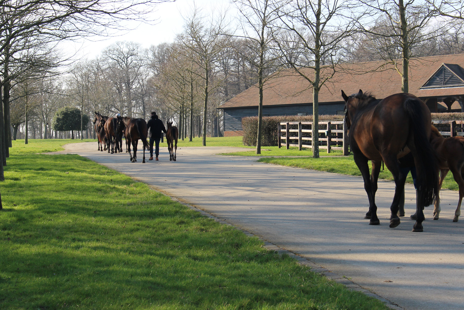 Chasemore Farm Gallery